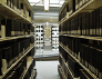 Of undergraduates and research